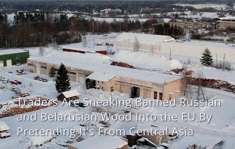 OCCRP Russian, Belarusian Banned Wood Exports
